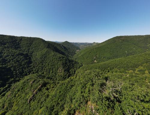 Gorges de Courgoul [02-07-2022](1004).jpg